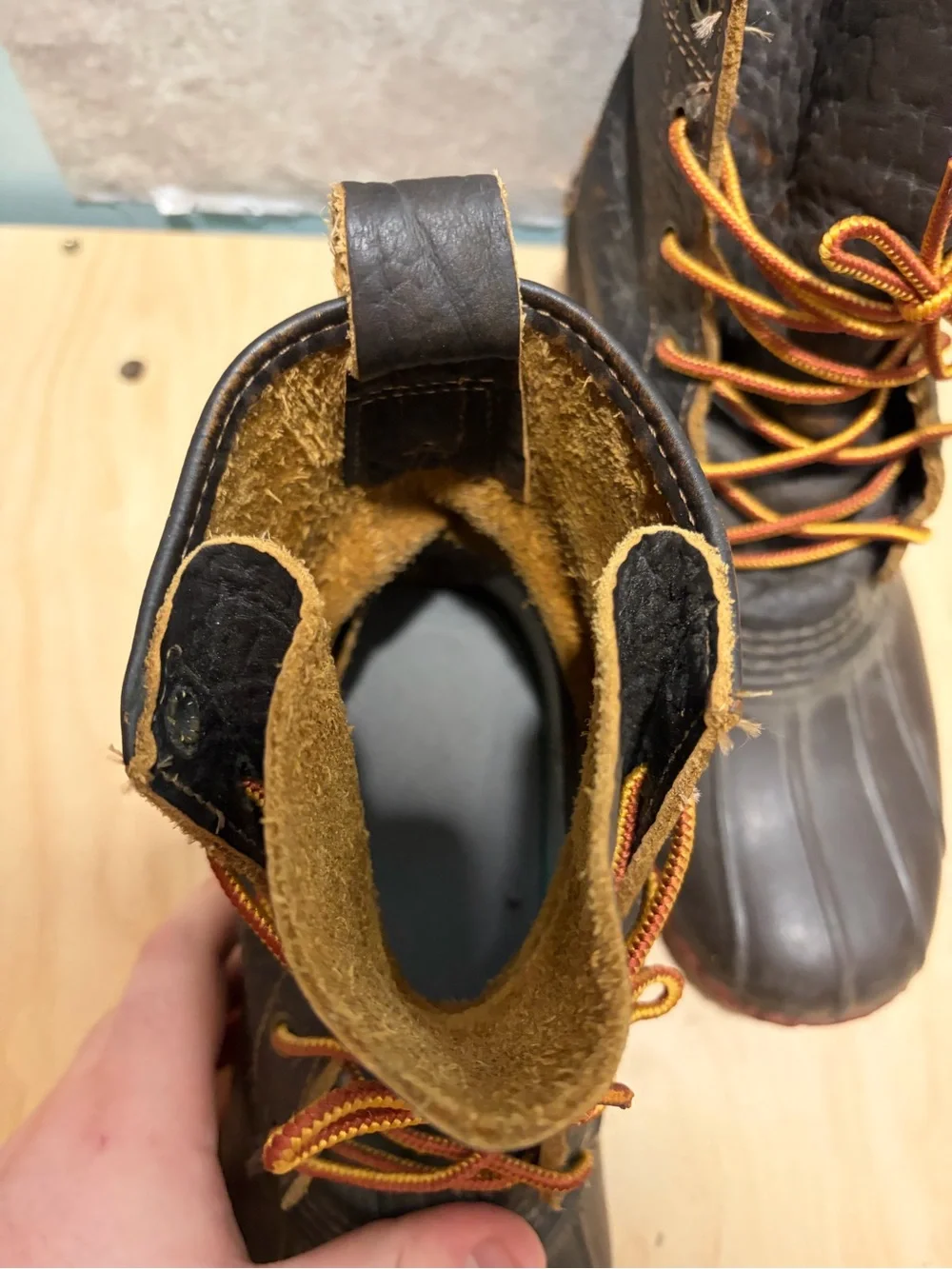 L.L. Bean 8
